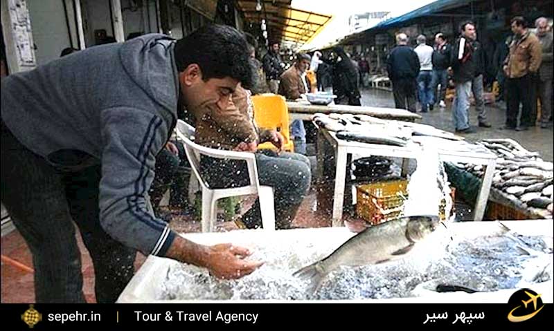 بازار بزرگ ماهی فروشان در ساری-خرید بلیط هواپیما